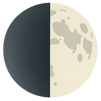 Первая четверть